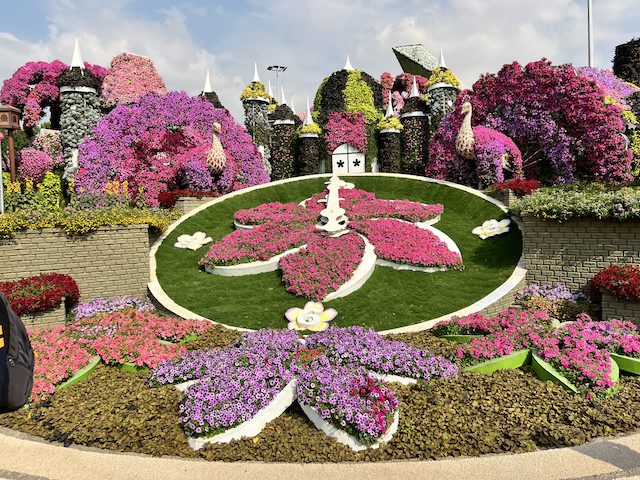 Dubai / Miracle Garden