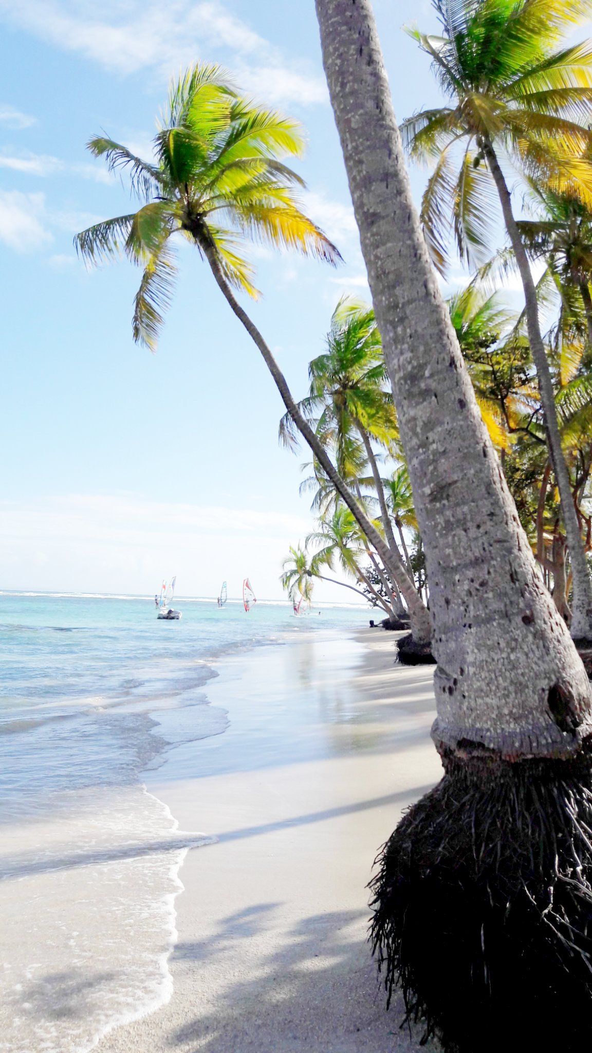 Unterwegs in der Karibik - Guadeloupe 2016 - Tagesausflug Saint Anne Beach