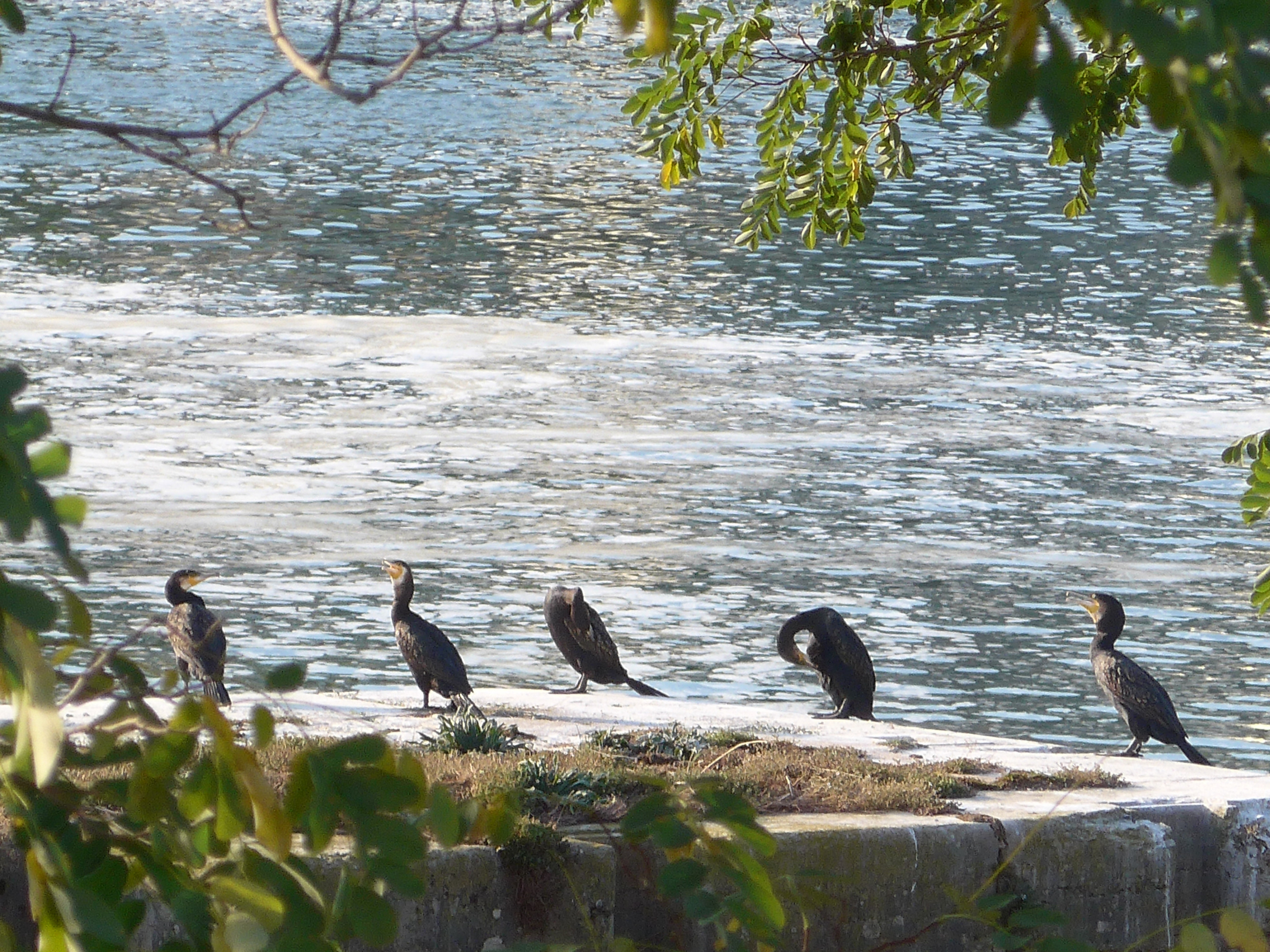 Flussfahrt