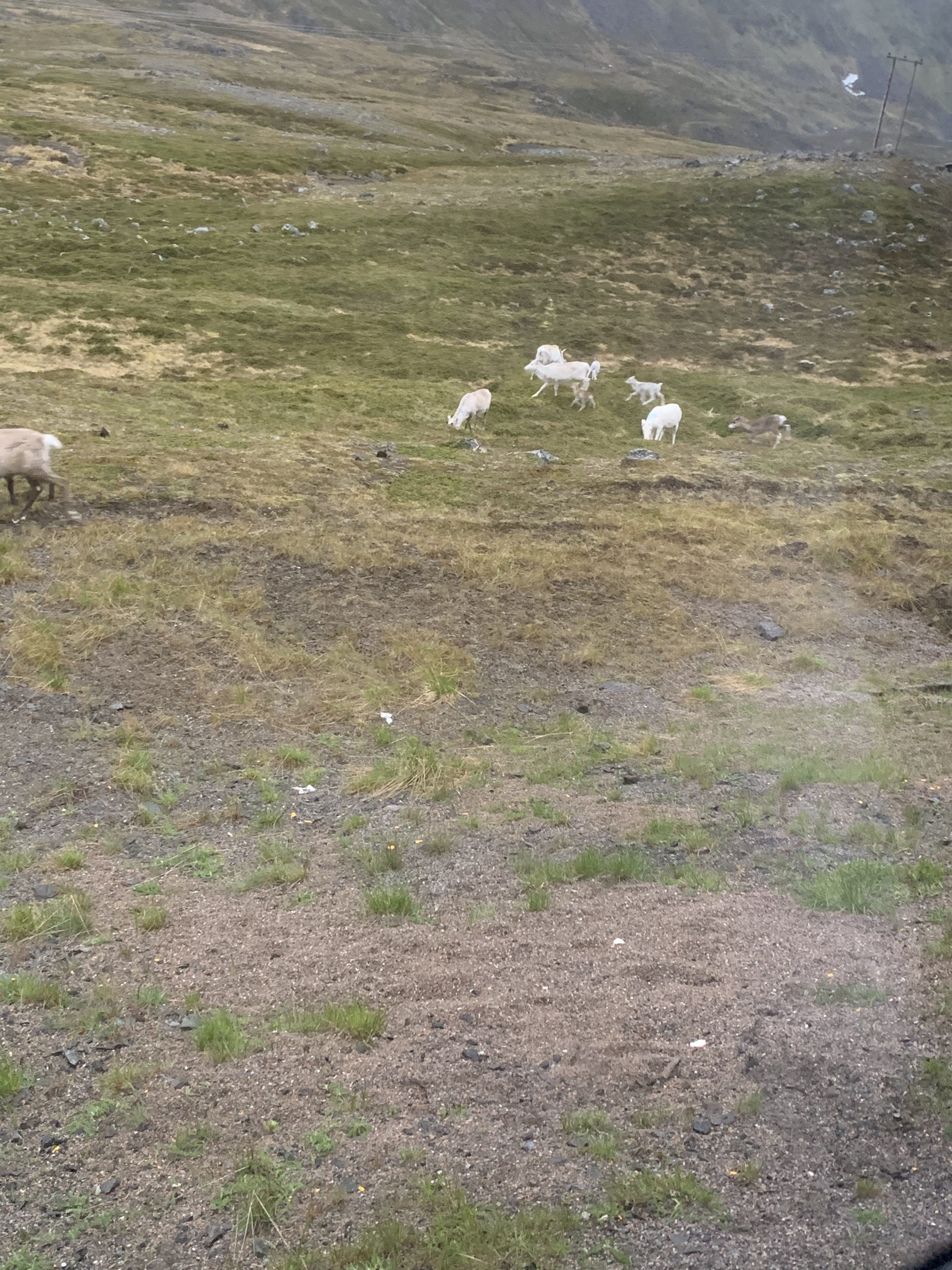 Nordische Impressionen