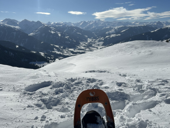 Auch in diesem Jahr: Fernab der Schiffe Schneeschuhwandern in den Kitzbüheler Alpen