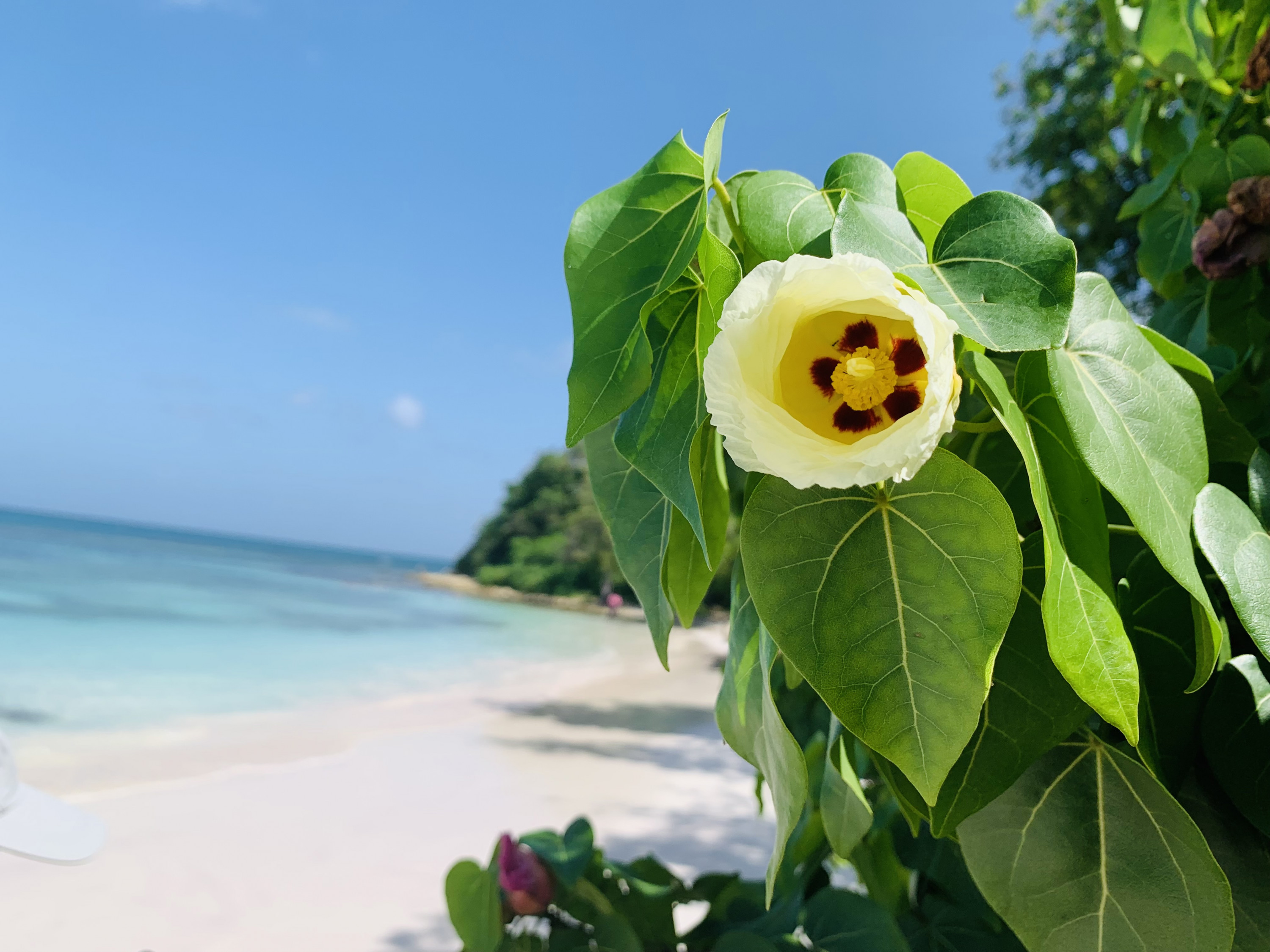 Antigua